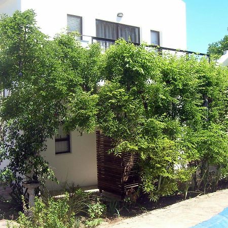 16 Rhodes-North Self Catering Apartment & Studio Stellenbosch Exterior foto